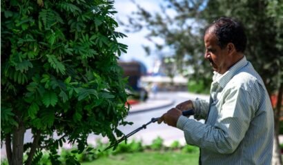 Untitled design - 2026-02-13T134747.510