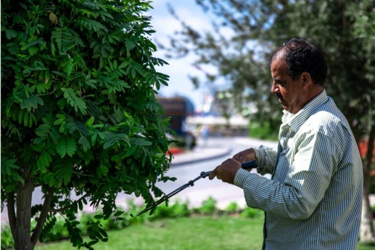 Untitled design - 2026-02-13T134747.510