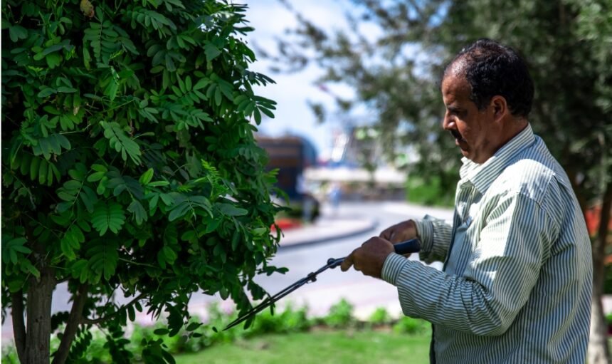 Untitled design - 2026-02-13T134747.510