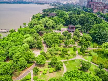 Untitled design - 2026-02-13T170036.484