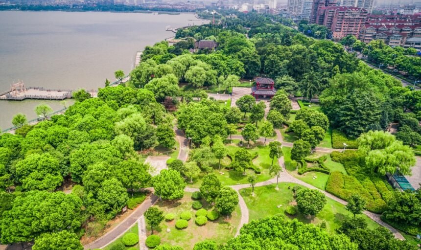 Untitled design - 2026-02-13T170036.484