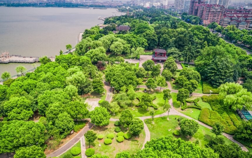 Untitled design - 2026-02-13T170036.484