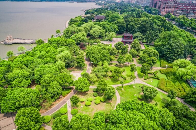 Untitled design - 2026-02-13T150344.051