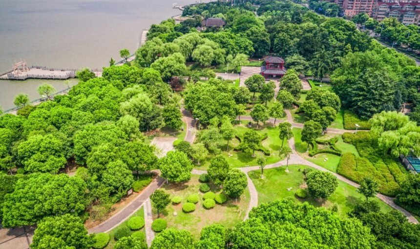 Untitled design - 2026-02-13T150344.051