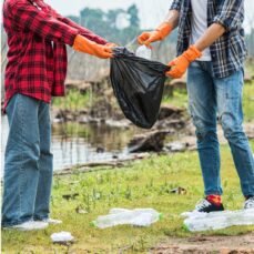 Untitled design - 2026-02-13T152349.426