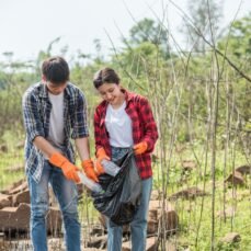 Untitled design - 2026-02-13T152408.748