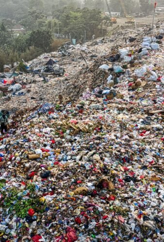 Untitled design - 2026-02-13T153252.591