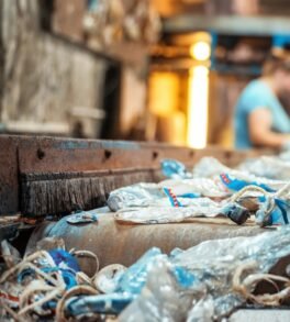 Untitled design - 2026-02-13T153352.353